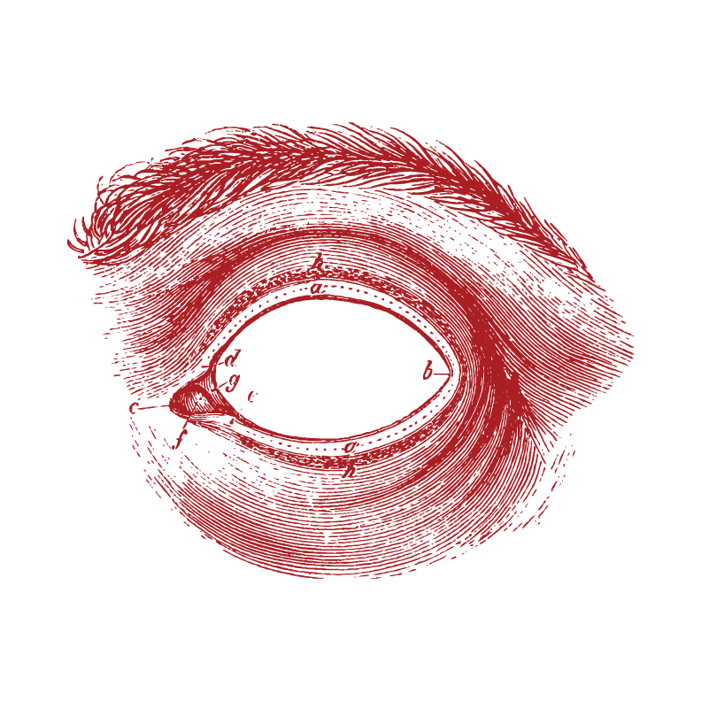 A red vintage drawing of an eye.